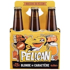 Bière - PÉLICAN en promo chez Carrefour Market Mont-de-Marsan à 8,45 €