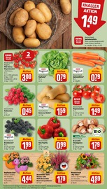 Aktueller REWE Prospekt mit Dekoration, "Dein Markt", Seite 5