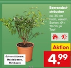 Johannisbeere im aktuellen Netto Marken-Discount Prospekt für 4,99 €