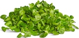 Bio-Feldsalat von Naturgut, Naturland für 1,49 € bei Penny im Angebot Bio-Feldsalat von Naturgut, Naturland im aktuellen Penny Prospekt