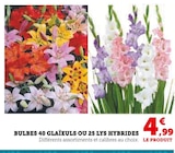 Bulbes 40 glaïeuls ou 25 lys hybrides dans le catalogue Hyper U