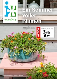 Moubis Pflanzenhof Prospekt für Osnabrück: "Ein Sommer voller Blumen", 8 Seiten, 06.06.2026 - 12.06.2026