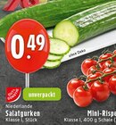 Aktuelles Salatgurken Angebot bei EDEKA in Solingen (Klingenstadt) ab 0,49 €