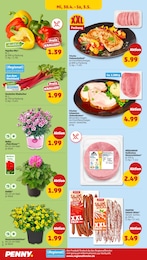 Pute Angebot im aktuellen Penny Prospekt auf Seite 30