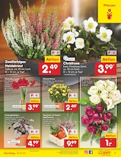 Aktueller Netto Marken-Discount Prospekt mit Chrysantheme, "Aktuelle Angebote", Seite 7