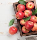 Bio Tafeläpfel Elstar Angebote von Demeter bei EDEKA Wismar für 2,99 €