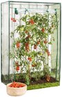 Tomatengewächshaus Angebote bei REWE Speyer für 12,99 €