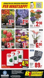 Mode Angebote im Prospekt "BESTPREISE DER WOCHE!" von B1 Discount Baumarkt Mode Angebote im Prospekt "BESTPREISE DER WOCHE!" von B1 Discount Baumarkt auf Seite 8