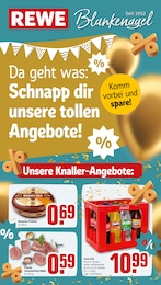 Der aktuelle REWE Prospekt Dein Markt