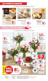 Promos Plante Verte dans le catalogue "U Express" de U Express Plante Verte en promo dans le catalogue U Express à la page 8