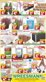 Aktueller Wreesmann Prospekt mit Orchidee, "DEIN SAISON- & SONDERPOSTENMARKT!", Seite 8