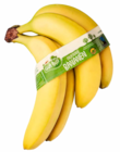 Bio-Bananen, Fairtrade bei ALDI Nord im Görlitz Prospekt für 1,69 €