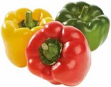 E center Velen - Spanien Paprika Angebot im Prospekt Spanien Paprika bei E center im Velen Prospekt für 2,49 €