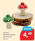 Wichtel Baum mit Pilzen im budni Prospekt Wichtel Baum mit Pilzen von Tanner im aktuellen budni Prospekt für 4,49 €