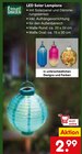 LED Solar Lampions im Netto Marken-Discount Prospekt LED Solar Lampions von im aktuellen Netto Marken-Discount Prospekt für 2,99 €