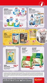 Katzenstreu im Zookauf Prospekt in Neubrandenburg Aktueller Zookauf Prospekt mit Katzenstreu, "SOMMERLICH FRISCHE SPARPREISE", Seite 5