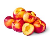 Pfirsiche im Penny Prospekt Nektarinen im aktuellen Penny Prospekt für 1,49 €