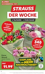 Kaufland Deko Blumen im Prospekt Kaufland Deko Blumen im Prospekt