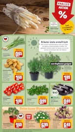 Ähnliche Angebote wie Obstbaum im Prospekt "Dein Markt" auf Seite 7 von REWE in Leipzig