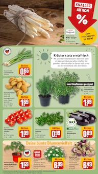 Blumen im REWE Prospekt "Dein Markt" mit 18 Seiten (Leipzig)