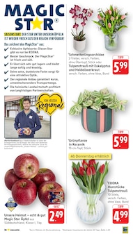 Äpfel im EDEKA Prospekt "Aktuelle Angebote" mit 54 Seiten (Mainz)