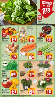 Tomaten im REWE Prospekt "Dein Markt" mit 30 Seiten (Salzgitter)