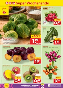 Pflanzen im aktuellen Netto Marken-Discount Prospekt (Hannover) Pflanzen im Netto Marken-Discount Prospekt "Aktuelle Angebote" mit 70 Seiten (Hannover)