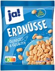 REWE Holle - Erdnüsse Angebot im Prospekt Erdnüsse bei REWE im Holle Prospekt für 0,99 €