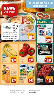 Aktueller REWE Prospekt für Soest mit  Seiten