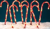 Gartenstecker-Set „Zuckerstangen“ Angebote bei Thomas Philipps Suhl für 12,95 €