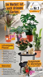 Pflanztisch im Hornbach Prospekt Pflanztisch im Hornbach Prospekt Wir sagen Danke. auf S. 26