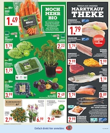 Marktkauf Pflaumen im Prospekt 