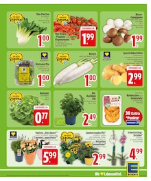 Blumen im aktuellen EDEKA Prospekt (Augsburg) Blumen im EDEKA Prospekt "Wir lieben Lebensmittel." mit 28 Seiten (Augsburg)