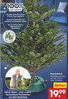 Aktuelles Tannenbaum Nordmanntannen Angebot bei Netto Marken-Discount in Lippstadt ab 19,99 €