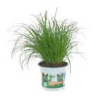 Vitalfutter für Kleintiere von GROW by OBI für 2,99 € bei OBI im Angebot Vitalfutter für Kleintiere von GROW by OBI im aktuellen OBI Prospekt