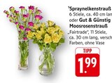 Spraynelkenstrauß im Angebot bei E center in Sindelfingen Spraynelkenstrauß Angebote bei E center Sindelfingen für 1,99 €