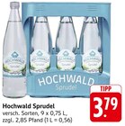 Sprudel Angebote von Hochwald bei EDEKA Pirmasens für 3,79 €
