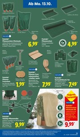 Aktueller Lidl Prospekt mit Gartenmöbel, "LIDL LOHNT SICH", Seite 29