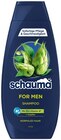 7 KRÄUTER im REWE Prospekt 7 KRÄUTER von Schauma im aktuellen REWE Prospekt für 1,69 €
