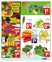 Aktueller EDEKA Prospekt mit Pflanzen, "Wir lieben Lebensmittel.", Seite 4