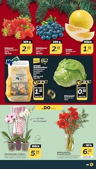 Amaryllis Angebot im aktuellen Netto mit dem Scottie Prospekt auf Seite 3