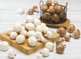 Promo Champignon de paris pied entier blanc ou blond prix mini à 1,99 € dans le catalogue Super U à Albert