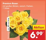 Premium Rosen im Angebot bei Netto Marken-Discount in Aachen Premium Rosen Angebote bei Netto Marken-Discount Aachen für 6,99 €