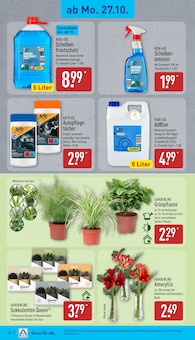 Stuhl Angebot im ALDI Nord Prospekt, gültig von 27.10.2025 bis 01.11.2025 Stuhl Angebot im aktuellen ALDI Nord Prospekt auf Seite 20