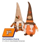 Action Mühlhausen - Herbstdeko Zwerg Angebot im Prospekt Herbstdeko Zwerg bei Action im Mühlhausen Prospekt für 3,99 €