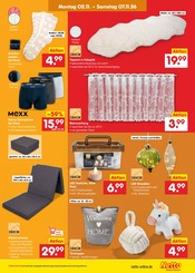 Ähnliche Kunstrasen Angebote im Prospekt "Aktuelle Angebote" von Netto Marken-Discount in Freiberg Ähnliche Angebote wie Kunstrasen im Prospekt "Aktuelle Angebote" auf Seite 41 von Netto Marken-Discount in Freiberg