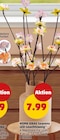 LED-Leuchtzweig von HOME IDEAS Seasons im aktuellen Penny Prospekt für 7,99 €