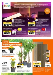 Gartenbepflanzung im OBI Prospekt "BIBERSTARKE ANGEBOTE" auf Seite 9