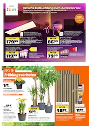 Aktueller OBI Prospekt mit Blumen, "BIBERSTARKE ANGEBOTE", Seite 9