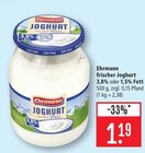 frischer Joghurt 3,8% Fett Angebote von Ehrmann bei Marktkauf Leinfelden-Echterdingen für 1,19 €